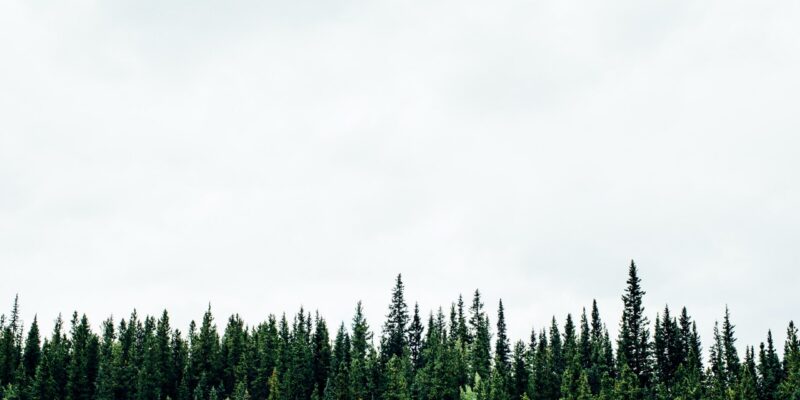 michael-benz–IZ2sgQKIhM-unsplash